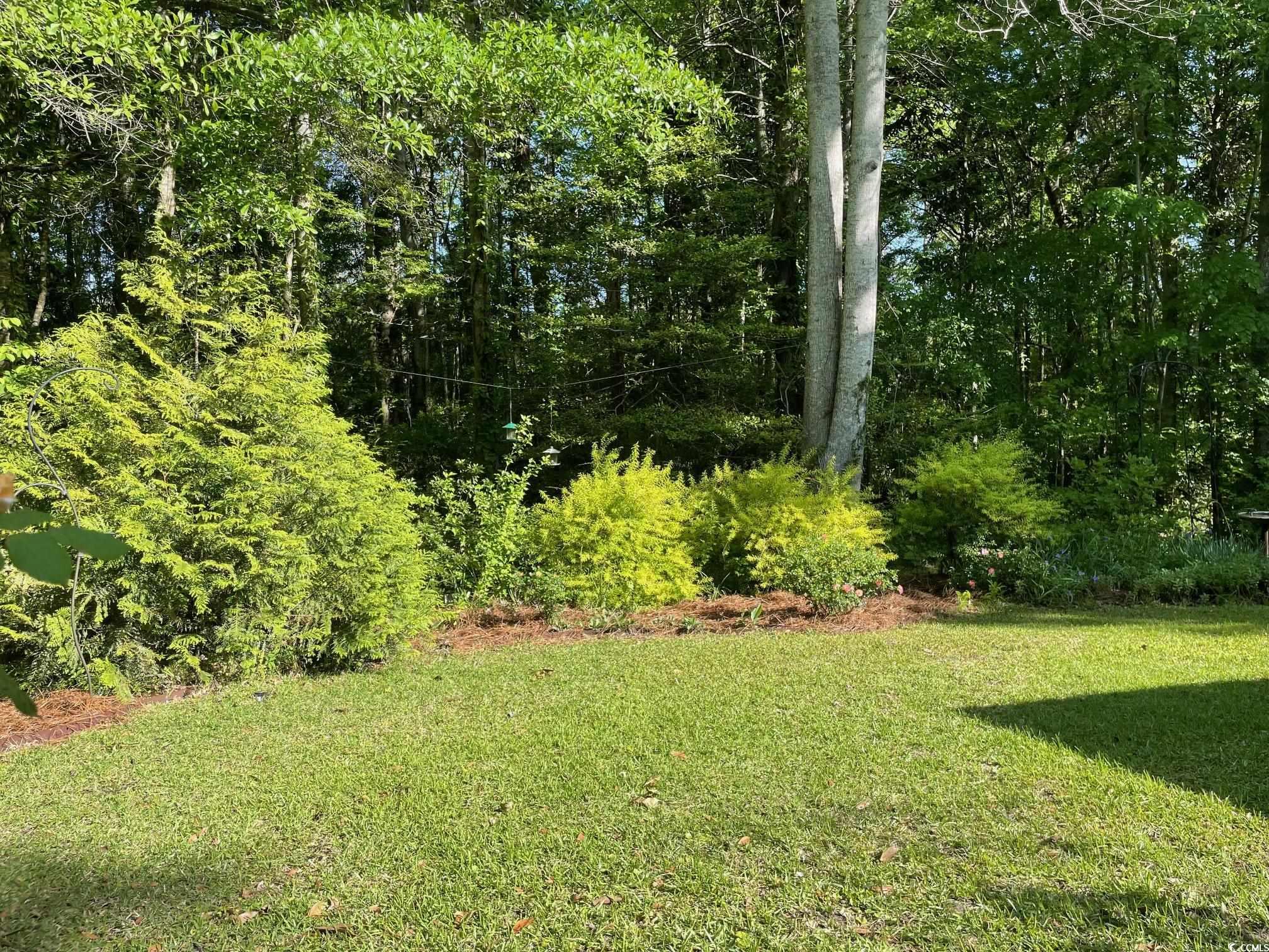 64 Reef Run Road Pawleys Island, SC 29585 - Photo 35 of 39 View of yard