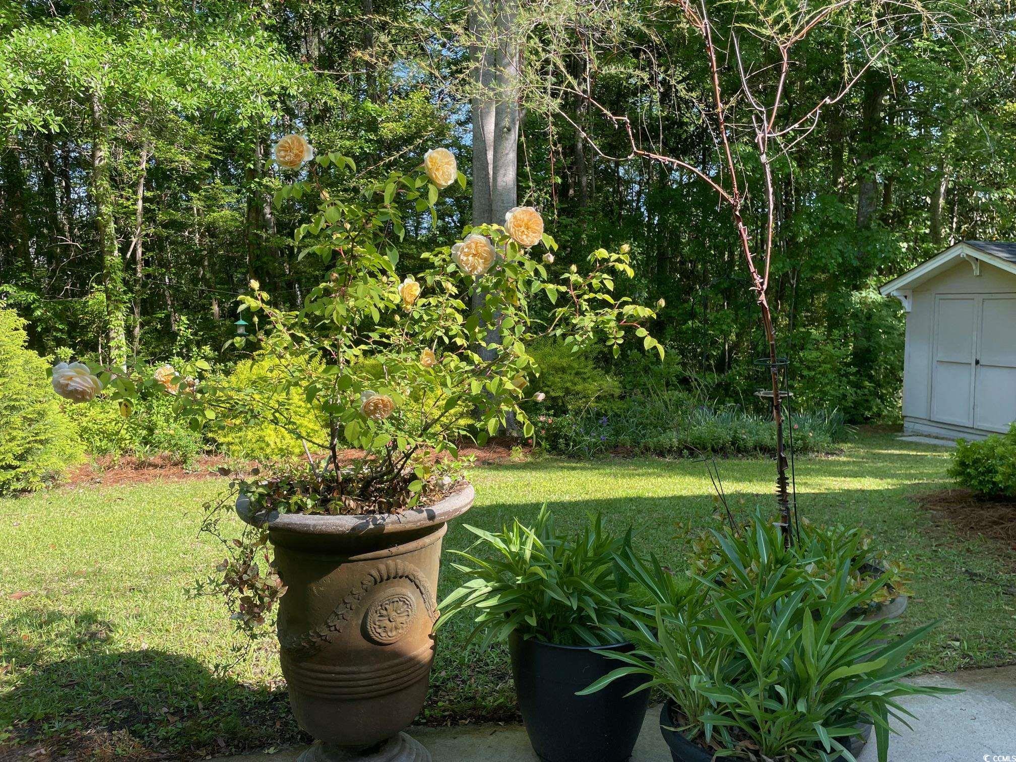 64 Reef Run Road Pawleys Island, SC 29585 - Photo 36 of 39 View of yard featuring an outdoor structure and a