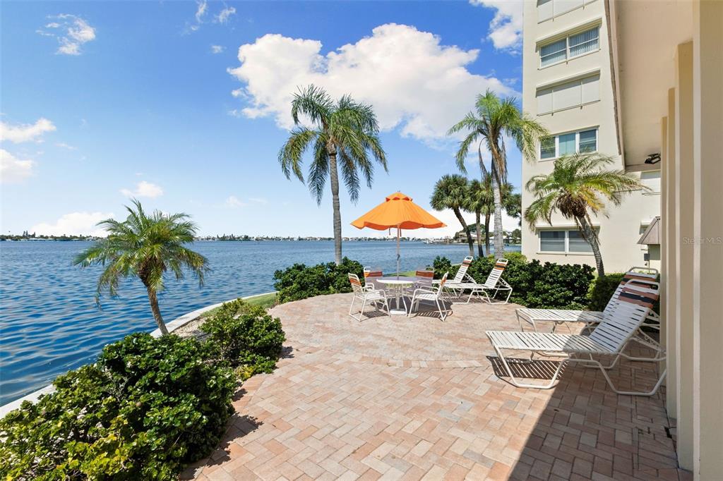 4550 Cove Circle, Unit 501 St. Petersburg, FL 33708 - Photo 3 of 44 a view of a backyard with a patio and plants