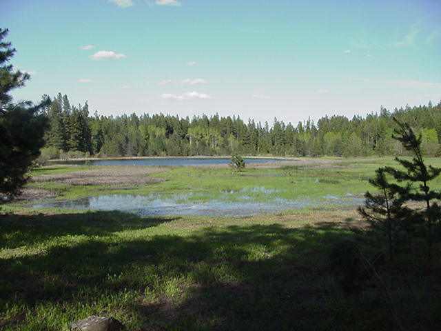 0 Little Sweden Road Valley, WA 99181 - Photo 2 of 4