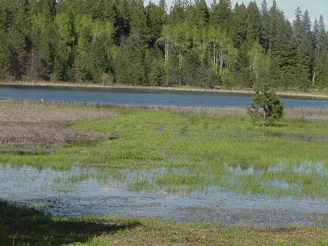 0 Little Sweden Road Valley, WA 99181 - Photo 3 of 4