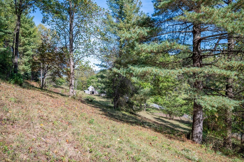 749 Knight Road Rural Retreat, VA 24368 - Photo 55 of 76 Gallery Image 55