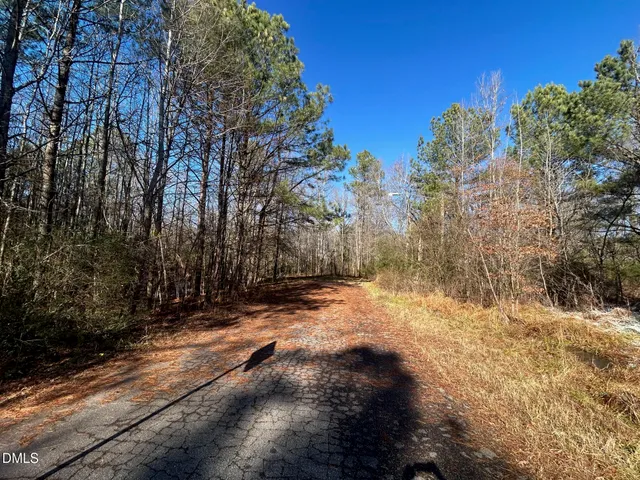 a view of a yard with trees