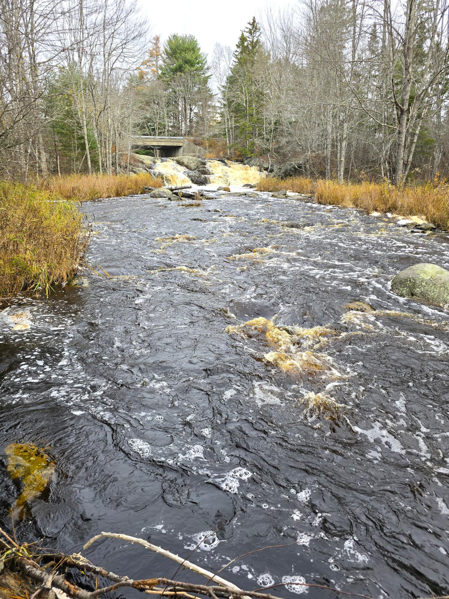 425 Saco Road Columbia Falls, ME 04623 - Photo 65 of 69 10