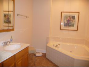 1006 Quail Run Erwin, TN 37650 - Photo 10 of 16 Master bath