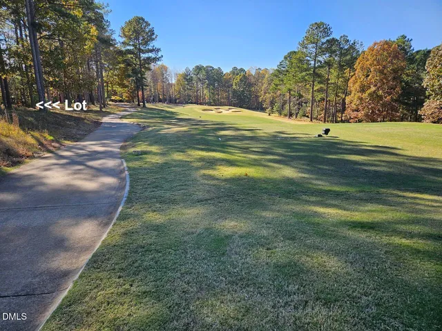 a view of a trees with a yard