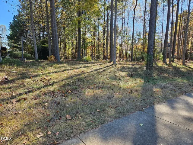 a view of outdoor space with trees