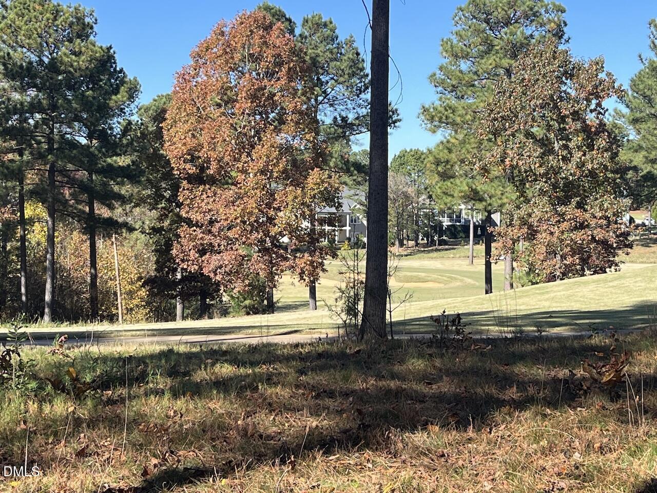 558 Chapel Ridge Drive Pittsboro, NC 27312 - Photo 28 of 31 a view of yard with tree