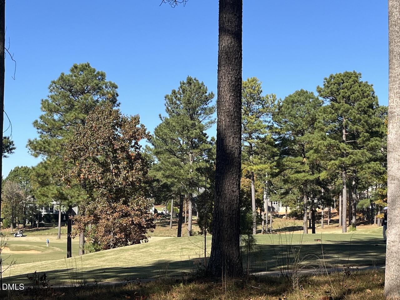 558 Chapel Ridge Drive Pittsboro, NC 27312 - Photo 29 of 31 a view of a yard with a tree
