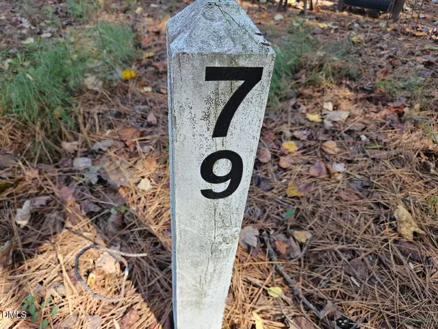 a picture of a door of a house with a tree