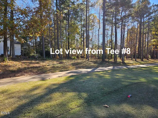 a backyard of a house with lots of green space and trees
