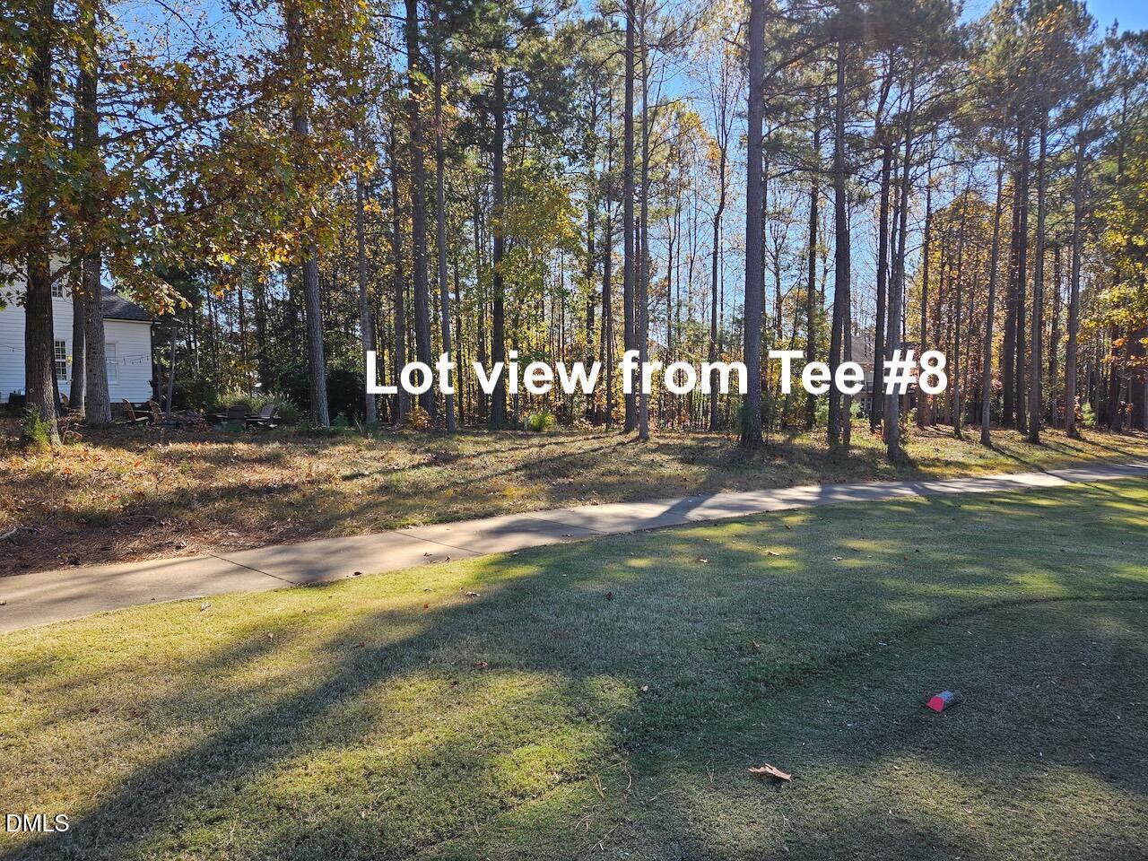 558 Chapel Ridge Drive Pittsboro, NC 27312 - Photo 3 of 31 a backyard of a house with lots of green space and trees