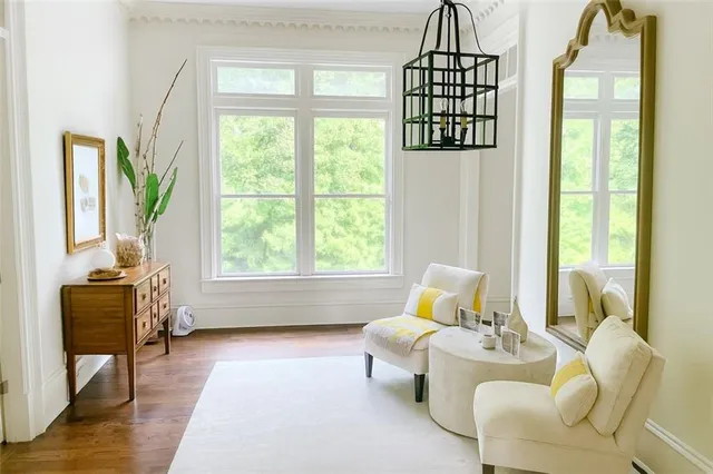 a bathroom with a bathtub and a potted plant