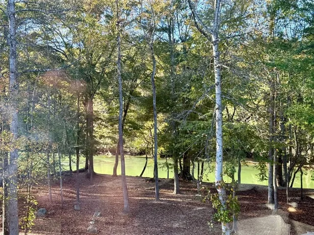 a view of a lake with a park