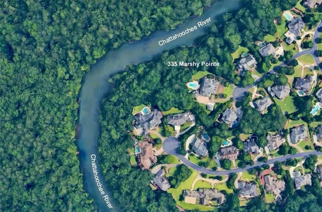 a picture of flowers