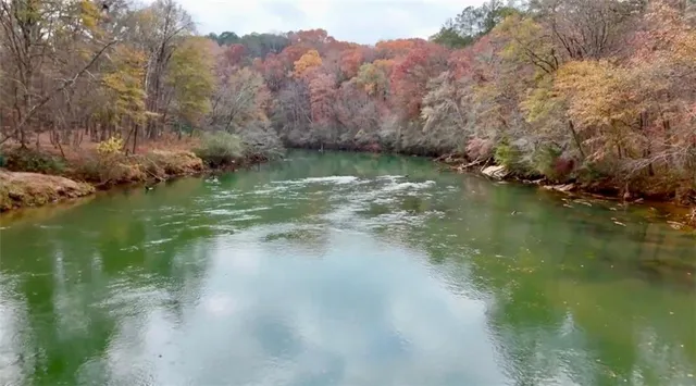 a view of a field with an trees