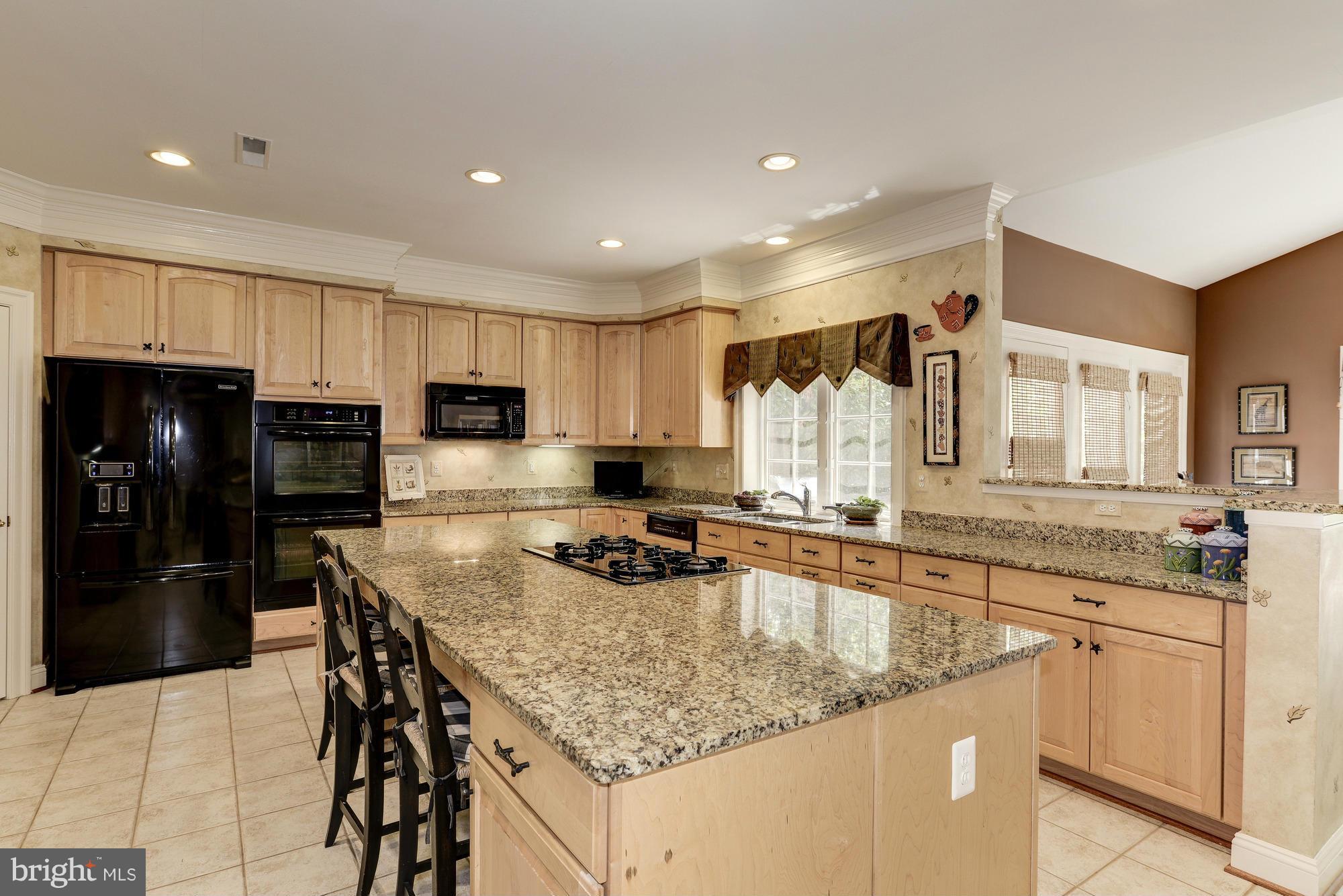 11403 Ridge Mist Terrace Potomac, MD 20854 - Photo 12 of 27 Interior (General)