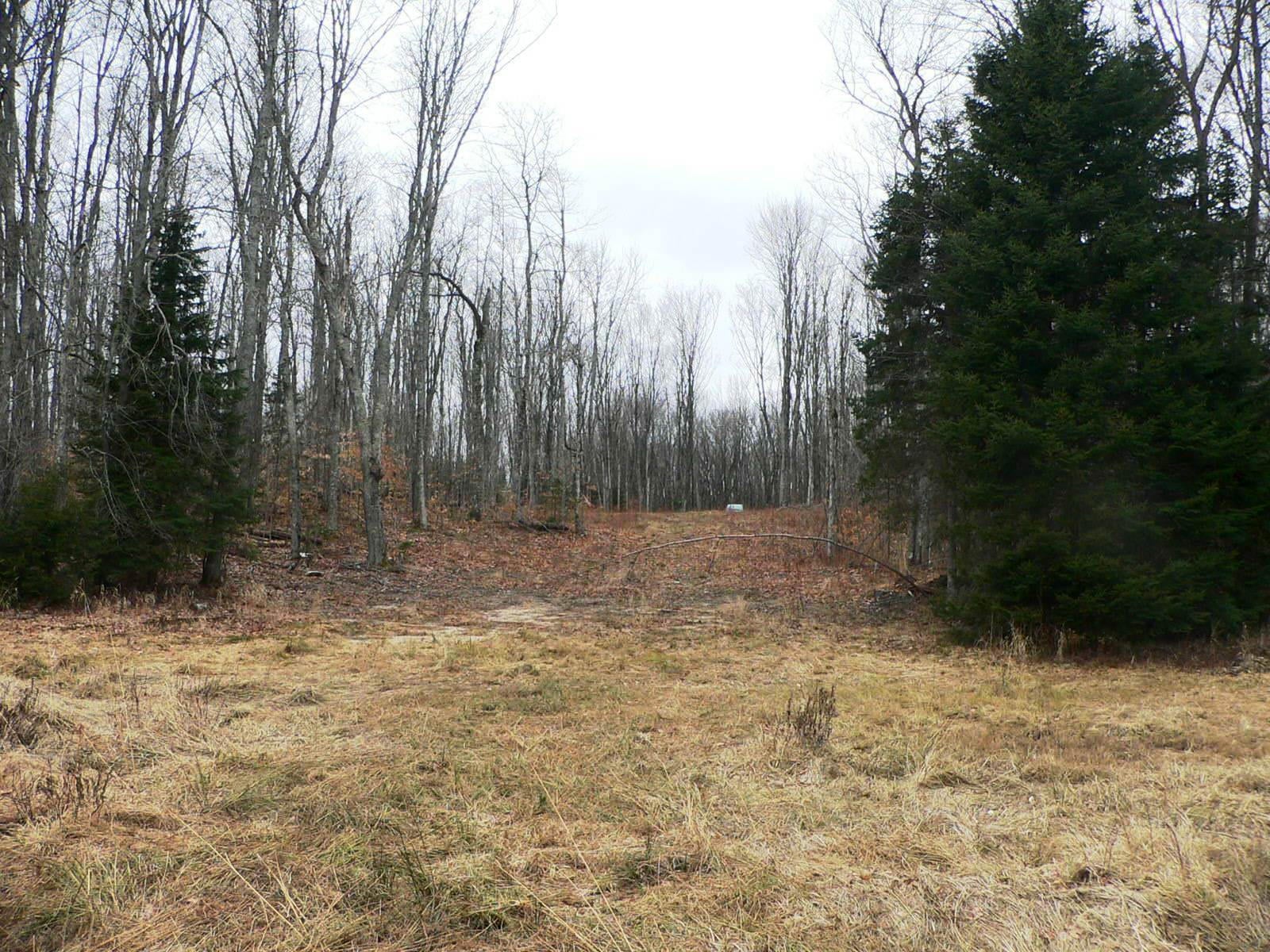 32771 West Piatt Lake Road Eckerman, MI 49728 - Photo 5 of 8 Gallery Image 5