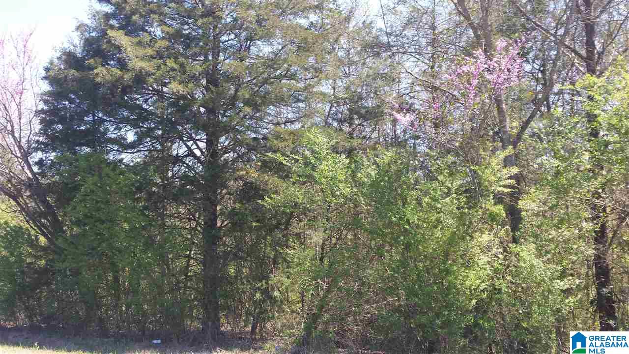 Double Bridge Road, Unit 16 Steele, AL 35987 - Photo 40 of 44