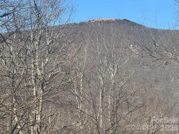 a backyard of a house with large trees
