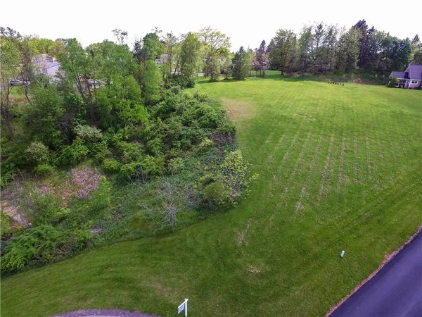 a view of a field of grass and trees