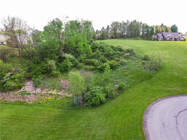 a view of a garden with a lake