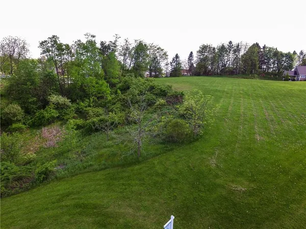 a view of a field of grass and trees