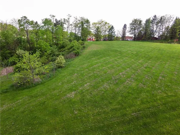 a view of a field of grass and trees