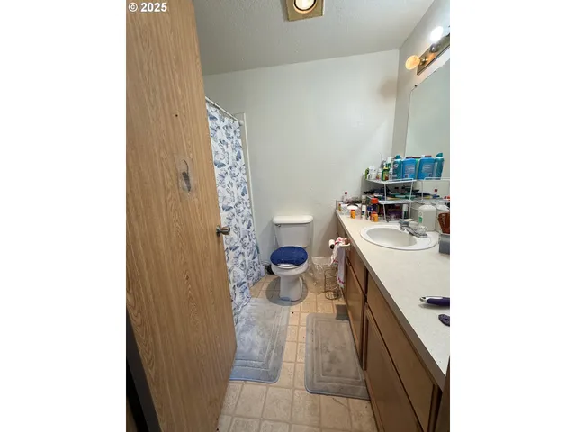 a bathroom with a sink and a toilet
