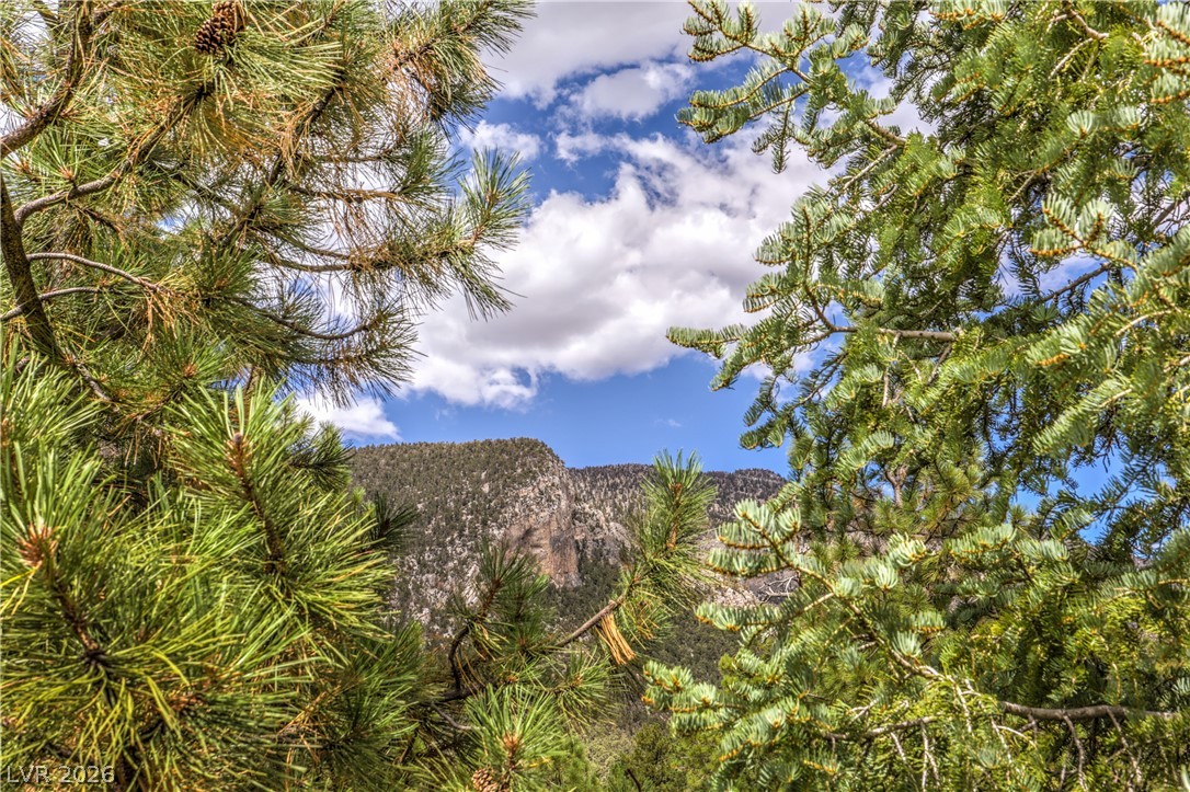 322 Ski Trail Road Mount Charleston, NV 89124 - Photo 53 of 58 Lush evergreen pine trees frame a scenic view of rugged mountain slopes under blue skies.