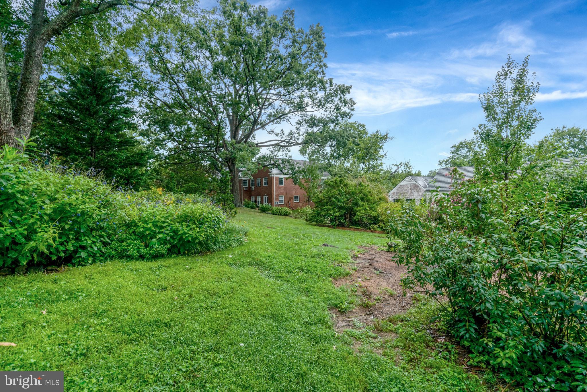 3221 Gunston Road Alexandria, VA 22302 - Photo 25 of 28 Common ground in back of Building
