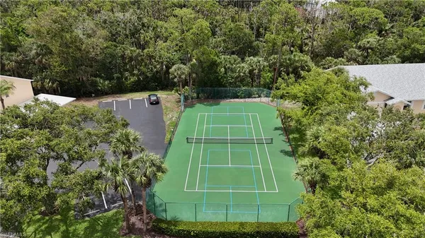 a green field with lots of bushes