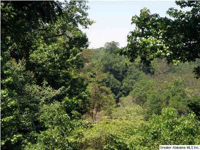 256 Overlook Drive Cleveland, AL 35049 - Photo 8 of 31