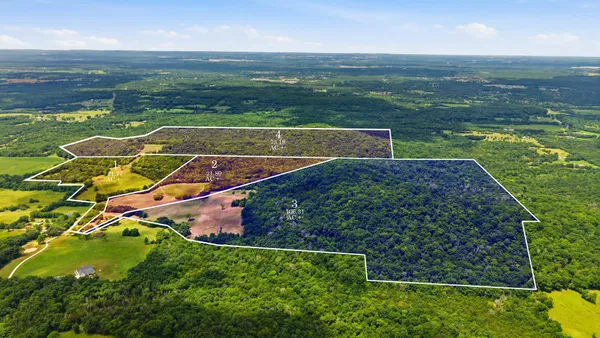 0 Pete Alsup Road, Lascassas, TN 37085