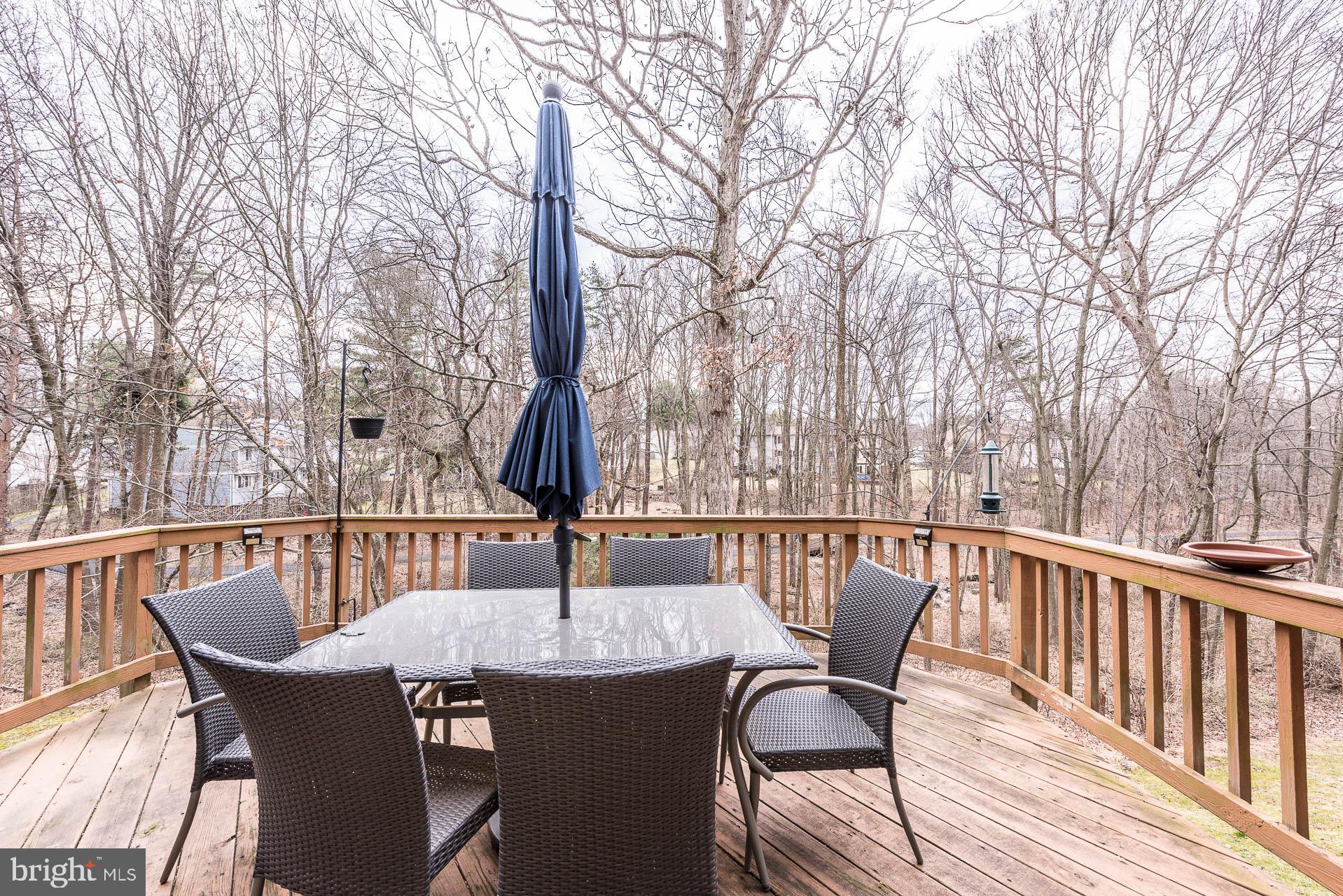1519 Twisted Oak Drive Reston, VA 20194 - Photo 20 of 72