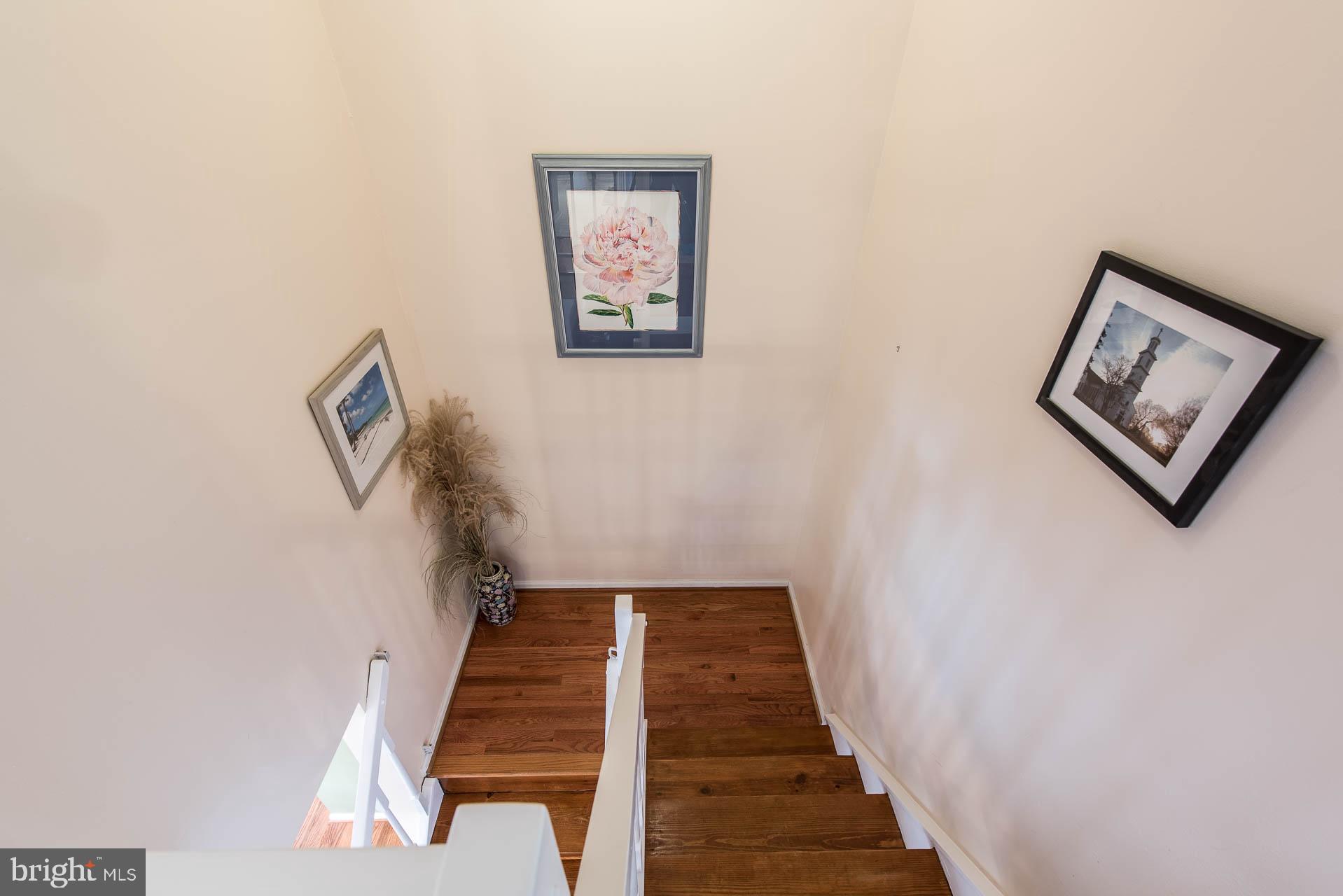 1519 Twisted Oak Drive Reston, VA 20194 - Photo 35 of 72