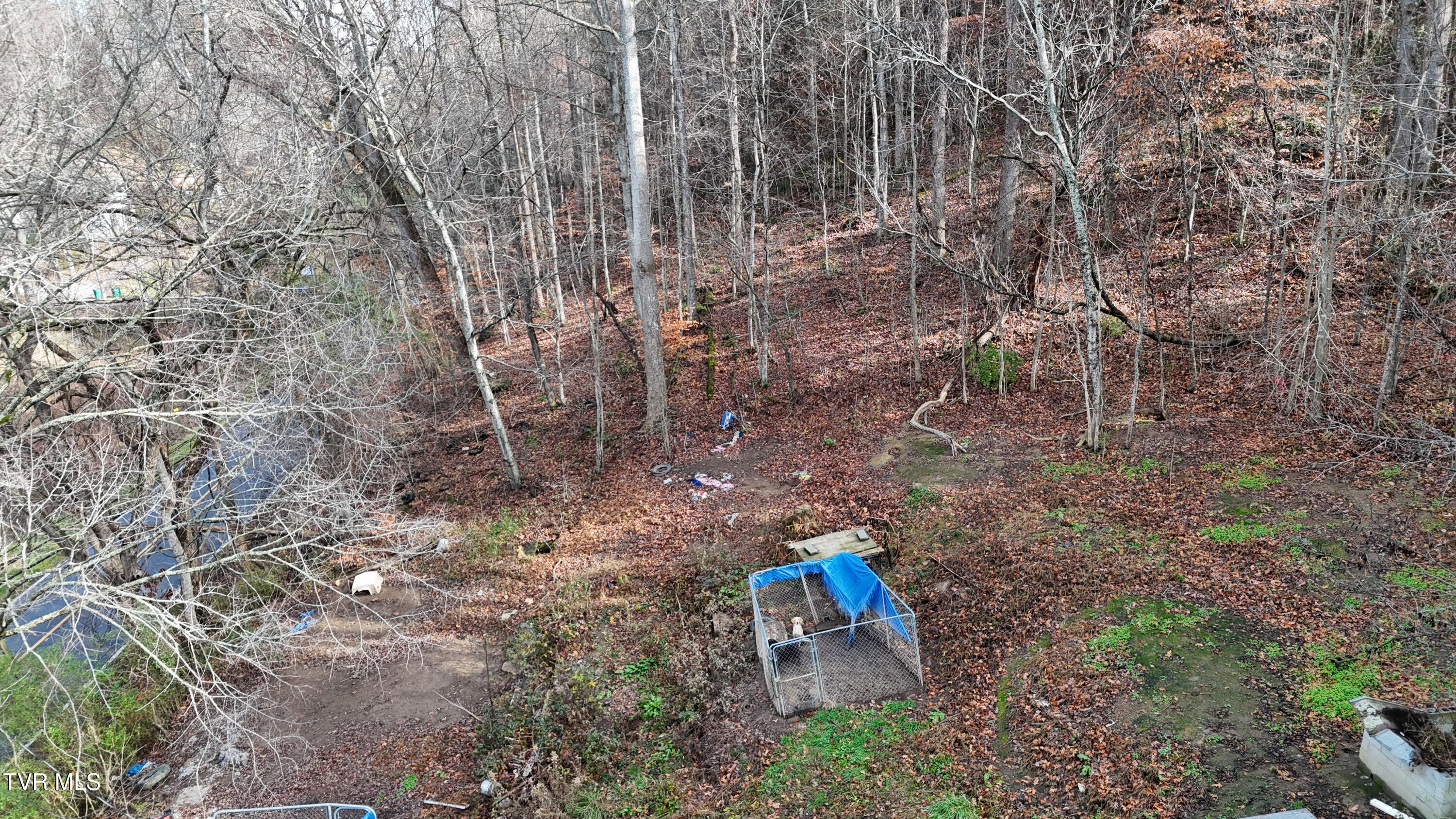 1704 North Main Avenue Erwin, TN 37650 - Photo 4 of 28 dji_fly_20251120_112348_0603_17636561255