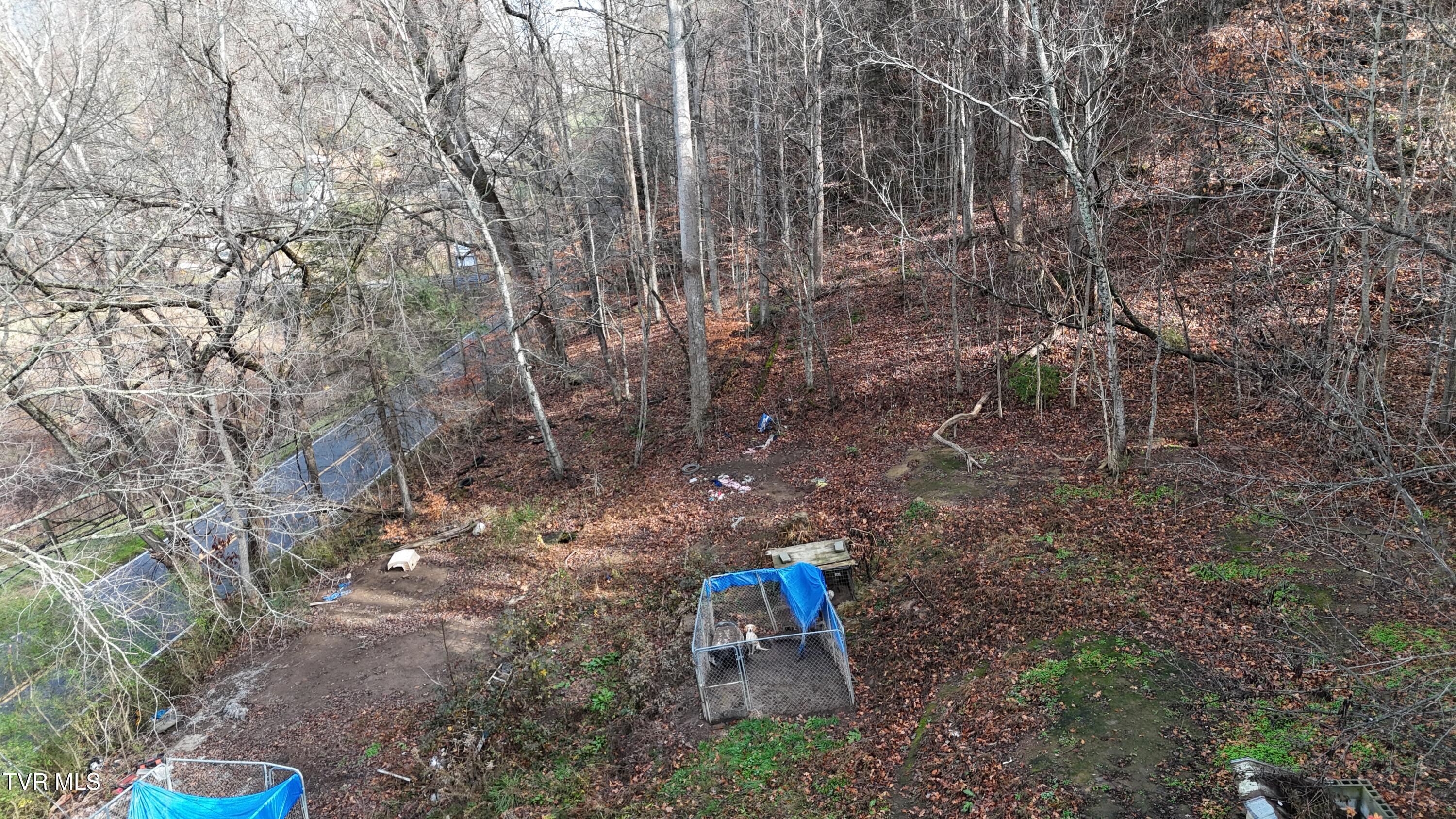 1704 North Main Avenue Erwin, TN 37650 - Photo 5 of 28 dji_fly_20251120_112356_0604_17636561249