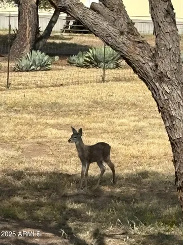 $250,000 | 30 Sunset Lane, Elgin, AZ 85611