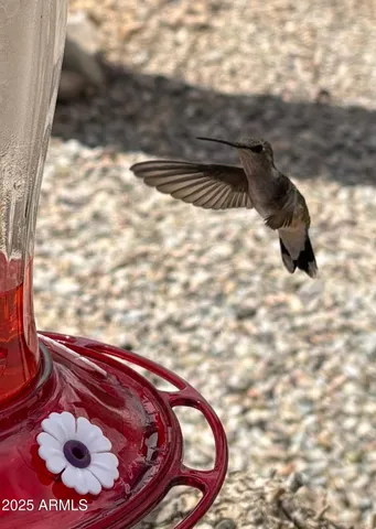 $250,000 | 30 Sunset Lane, Elgin, AZ 85611