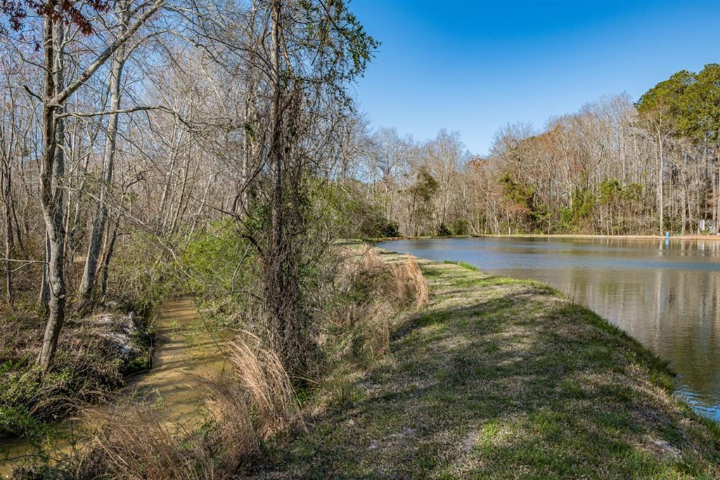 263 Greenville Road Warrenville, SC 29851 - Photo 7 of 42