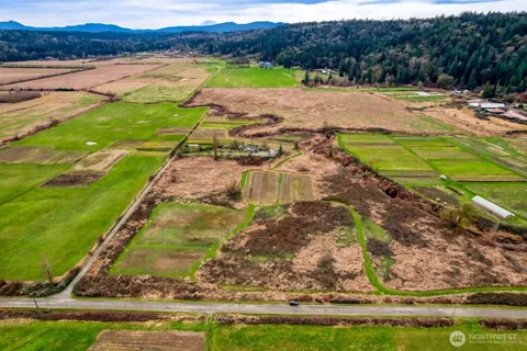 a view of swimming pool with a yard