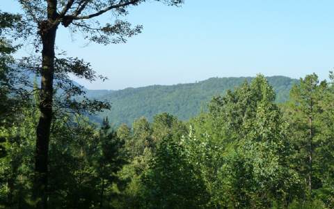 a view of a mountain