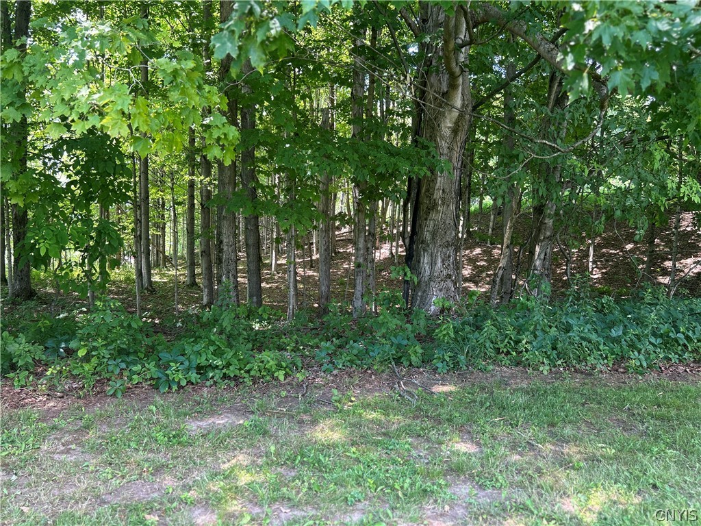 2601 Waldron Road Camden, NY 13316 - Photo 7 of 43 Property extends into the grove