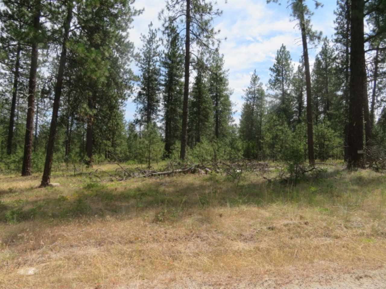 0 North Calispel Road Chattaroy, WA 99003 - Photo 11 of 15 Gallery Image 11