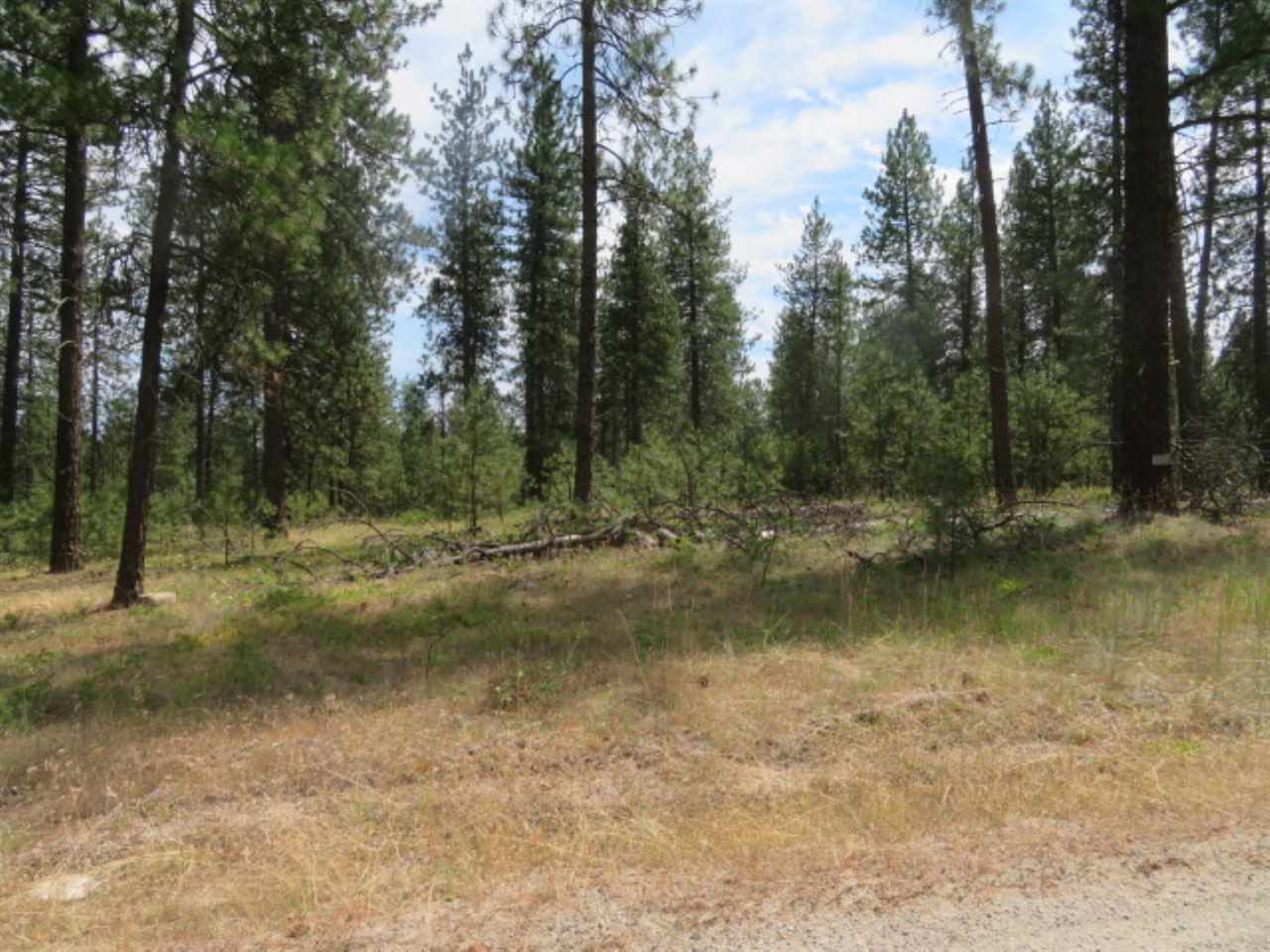 0 North Calispel Road Chattaroy, WA 99003 - Photo 12 of 15 Gallery Image 12