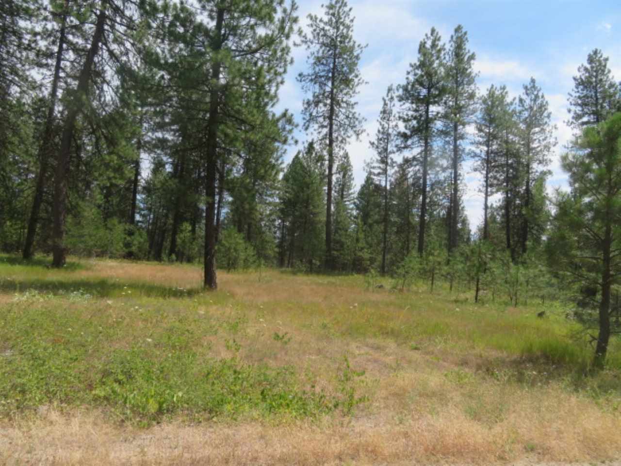0 North Calispel Road Chattaroy, WA 99003 - Photo 13 of 15 Gallery Image 13