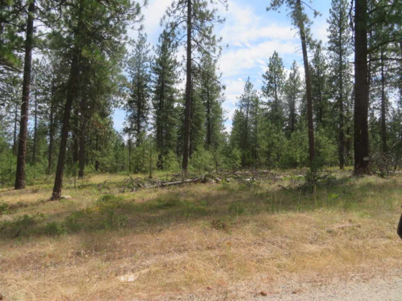 0 North Calispel Road Chattaroy, WA 99003 - Photo 10 of 15 Gallery Image 10