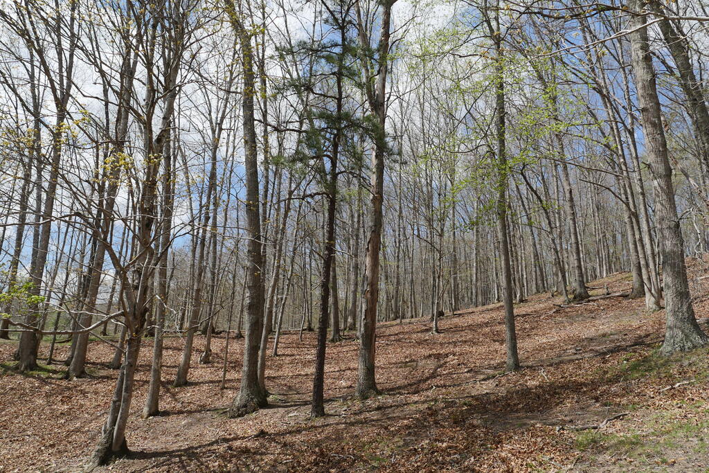 4020 Freestone Valley Road Tannersville, VA 24377 - Photo 108 of 109 Gallery Image 108