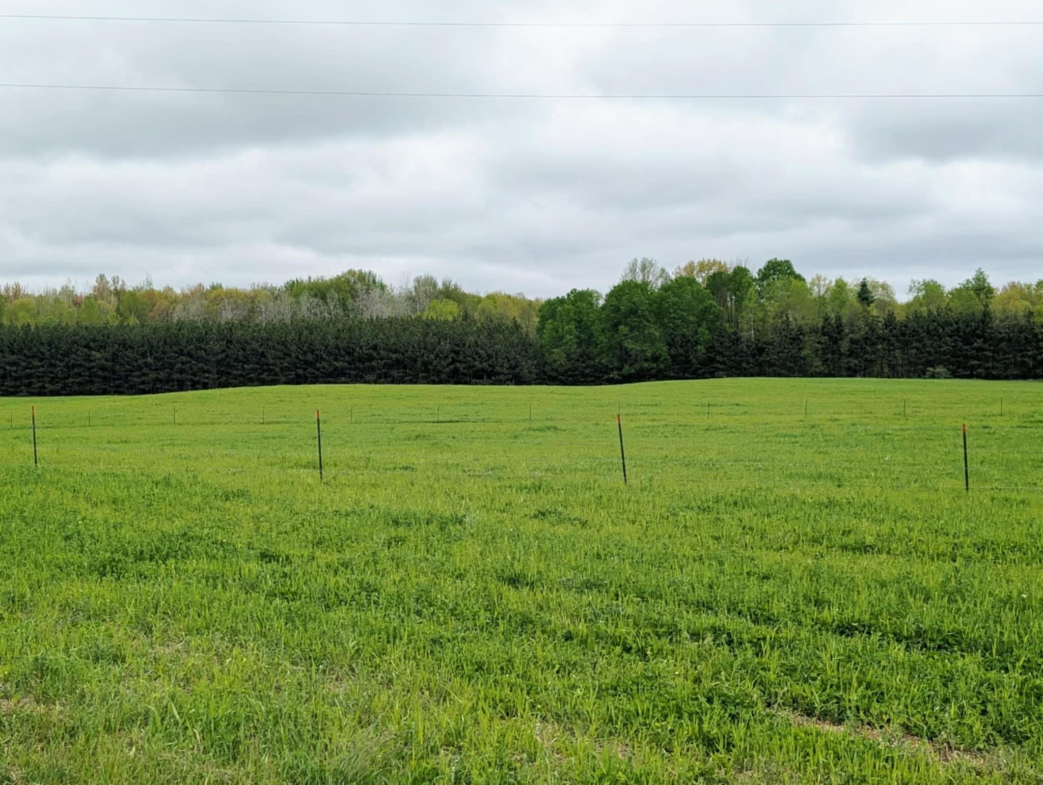 11701 North Vandecar Road Farwell, MI 48622 - Photo 4 of 56 1000026096